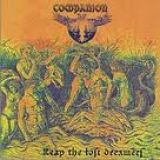 Companion-Reap The Lost Dreamers