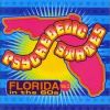 V/A - Psychedelic States: Florida in the 60's - VOL.2