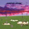 ELECTRIC RIDERS - Music For Family Gatherings